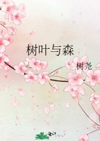 树叶与森